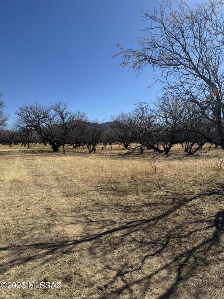 000 No Address - Photo 1