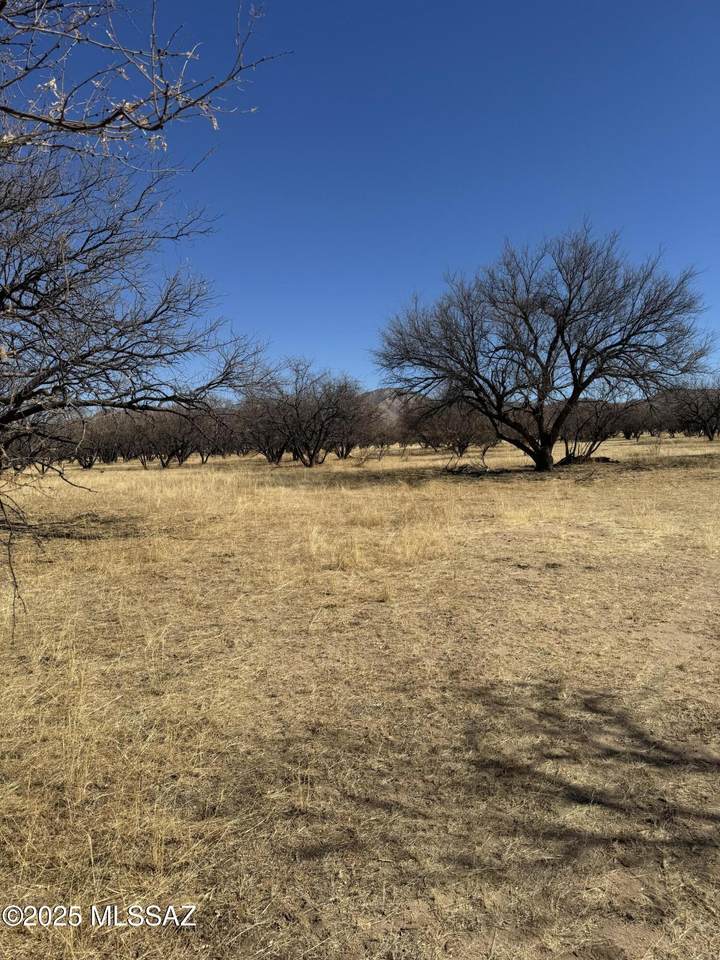 https://bt-photos.global.ssl.fastly.net/tucson/1280_boomver_1_22505922-2.jpg