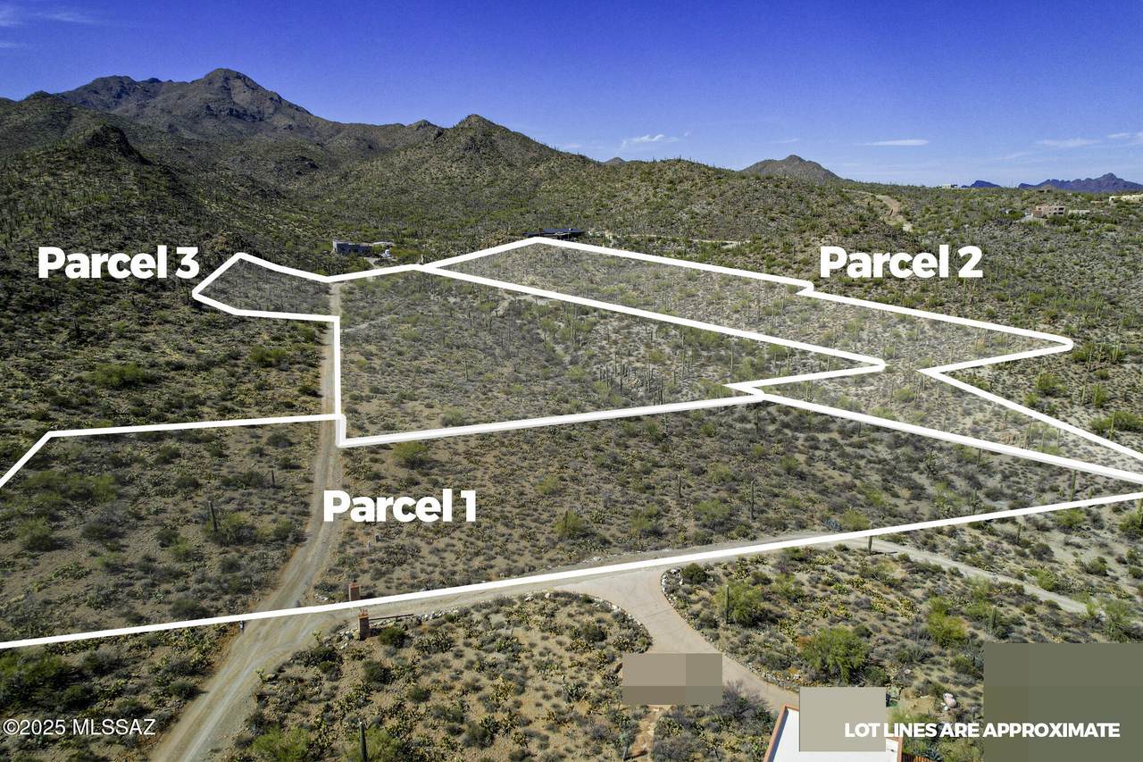 6840 Banded Gecko Way - Photo 1