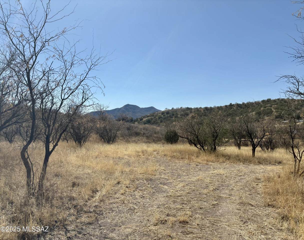 1 A Stevens Canyon Road - Photo 1