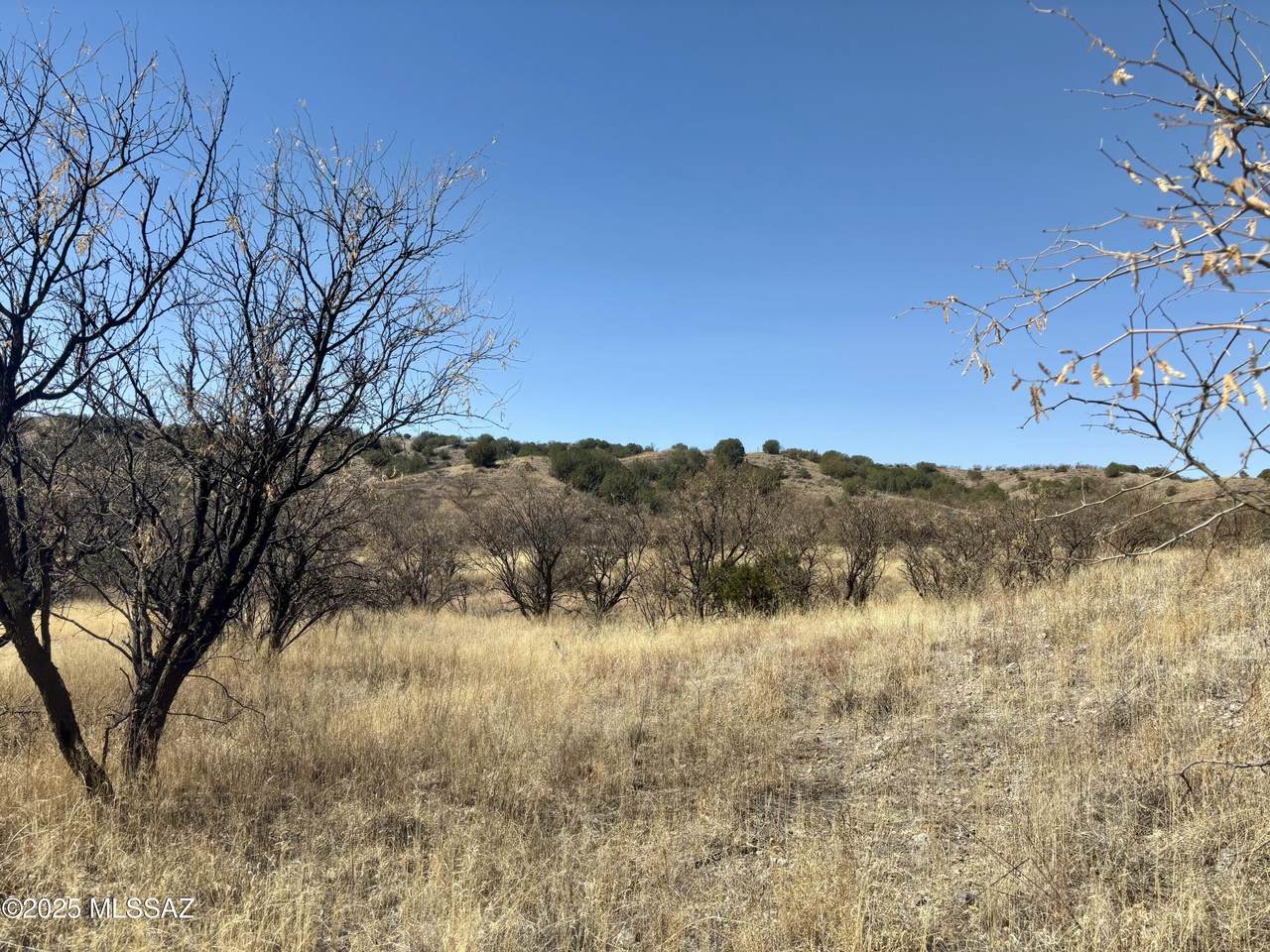 https://bt-photos.global.ssl.fastly.net/tucson/1280_boomver_1_22507005-2.jpg