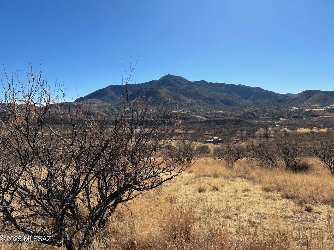 TBD Sonoita Drive - Photo 1