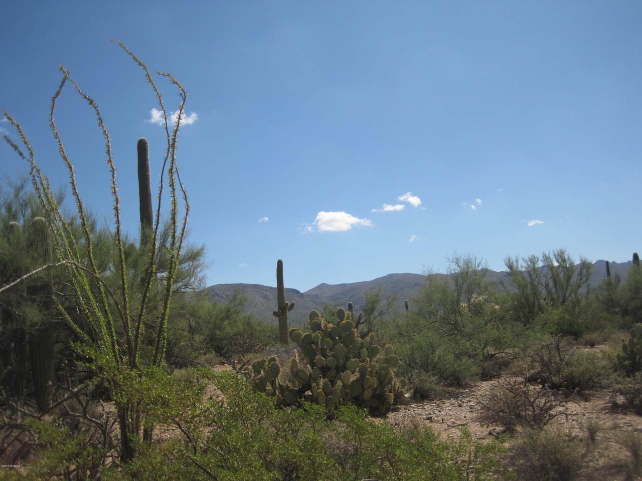 000 Owl Head Ranch Road - Photo 1