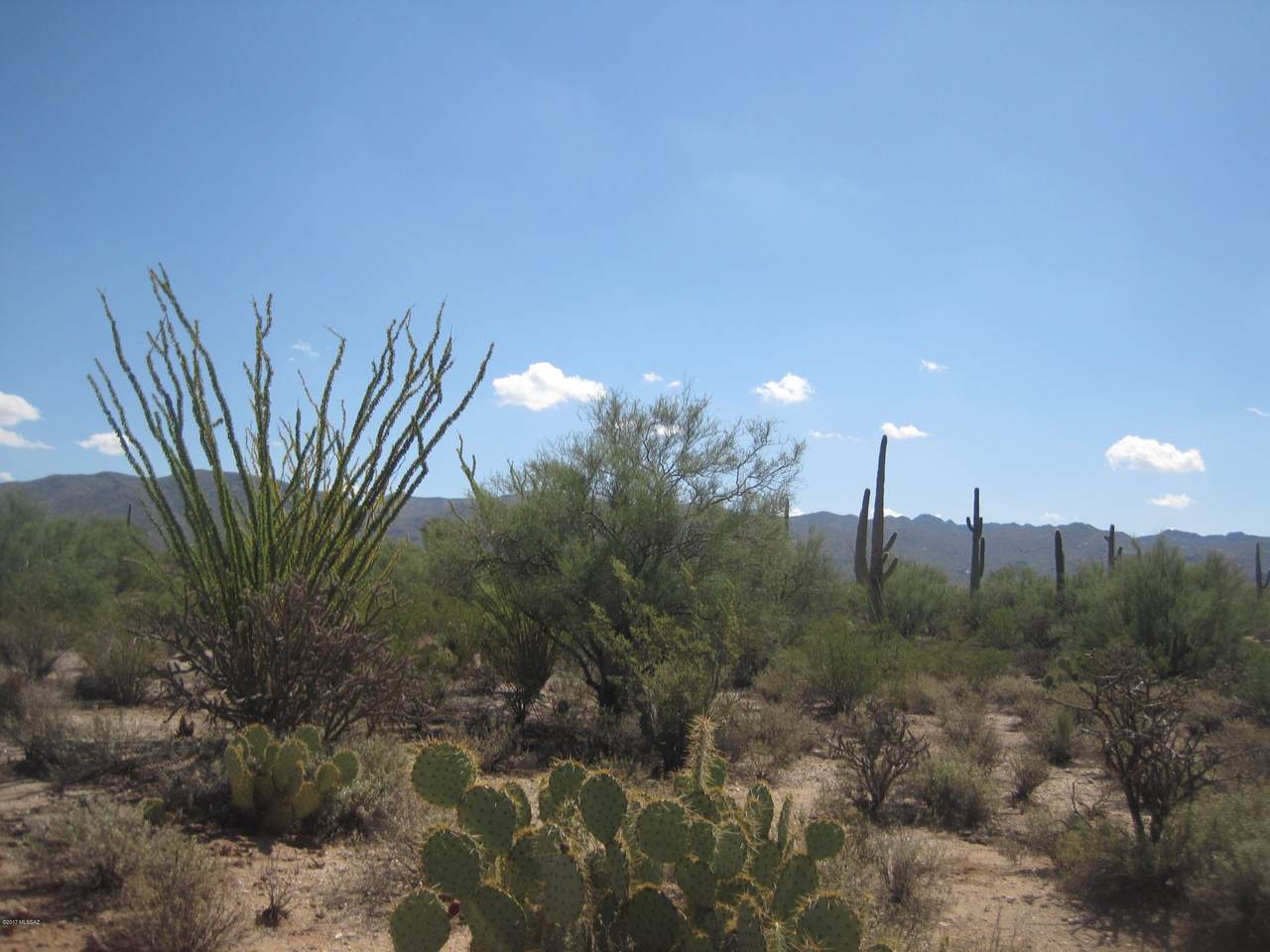 https://bt-photos.global.ssl.fastly.net/tucson/1280_boomver_1_22508469-2.jpg