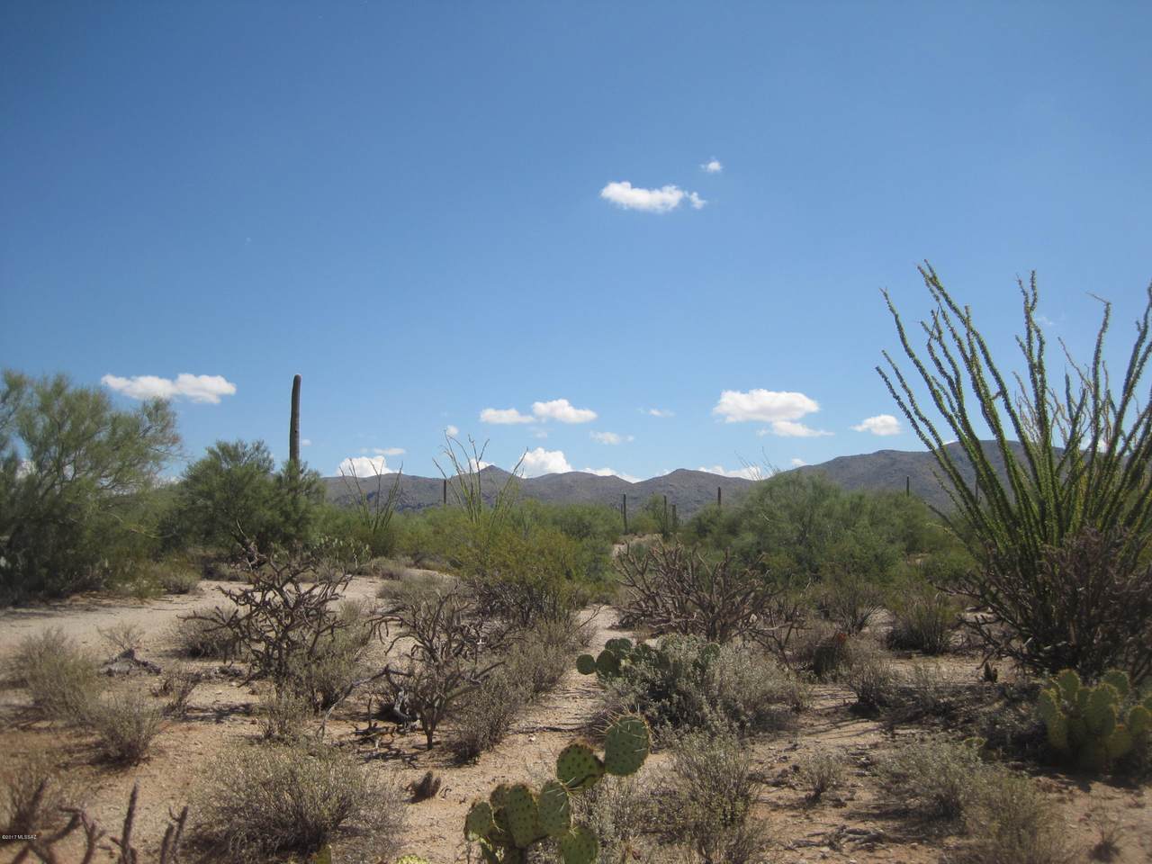 https://bt-photos.global.ssl.fastly.net/tucson/1280_boomver_1_22508469-2.jpg