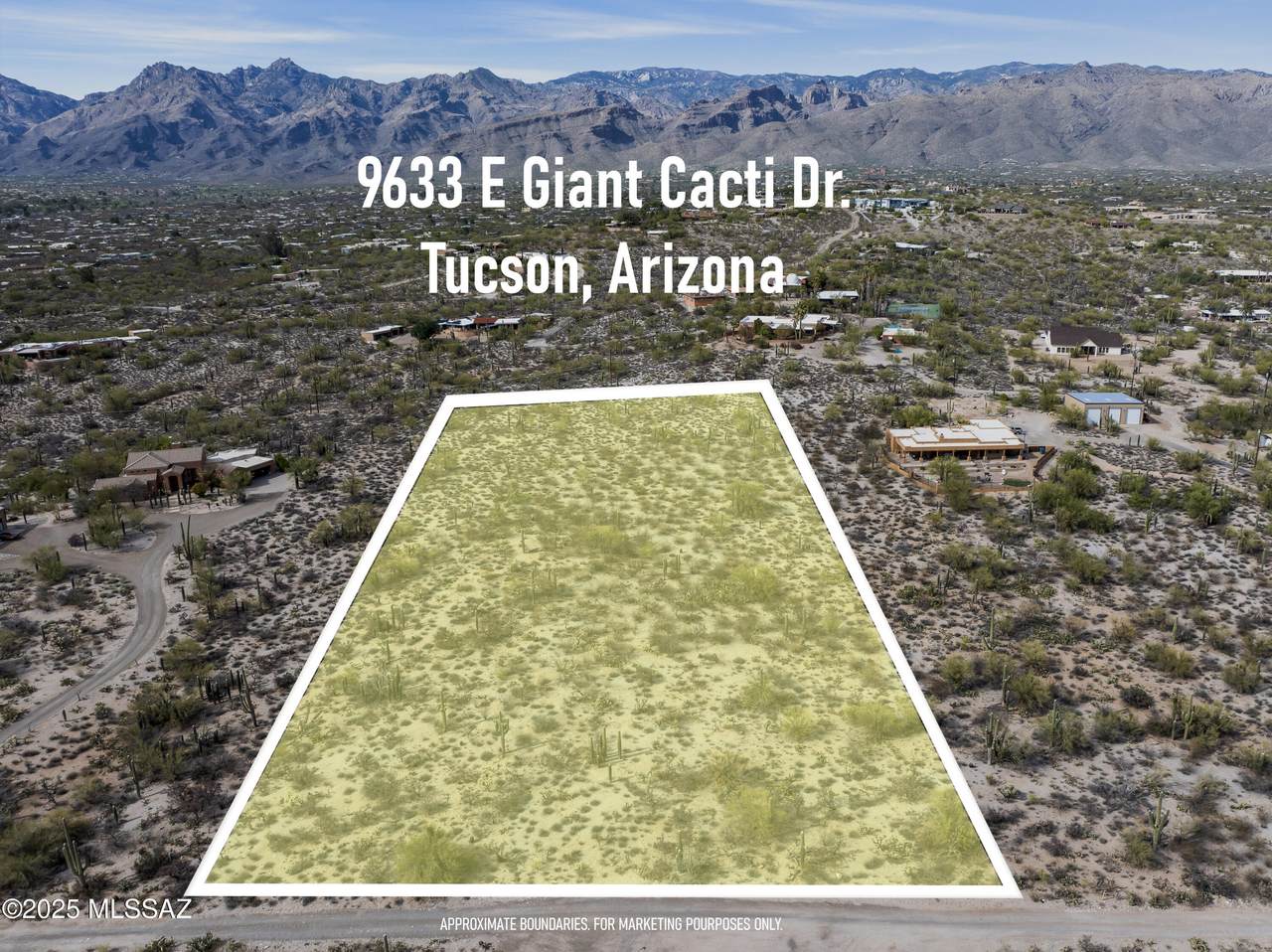 9633 Giant Cacti Drive - Photo 1