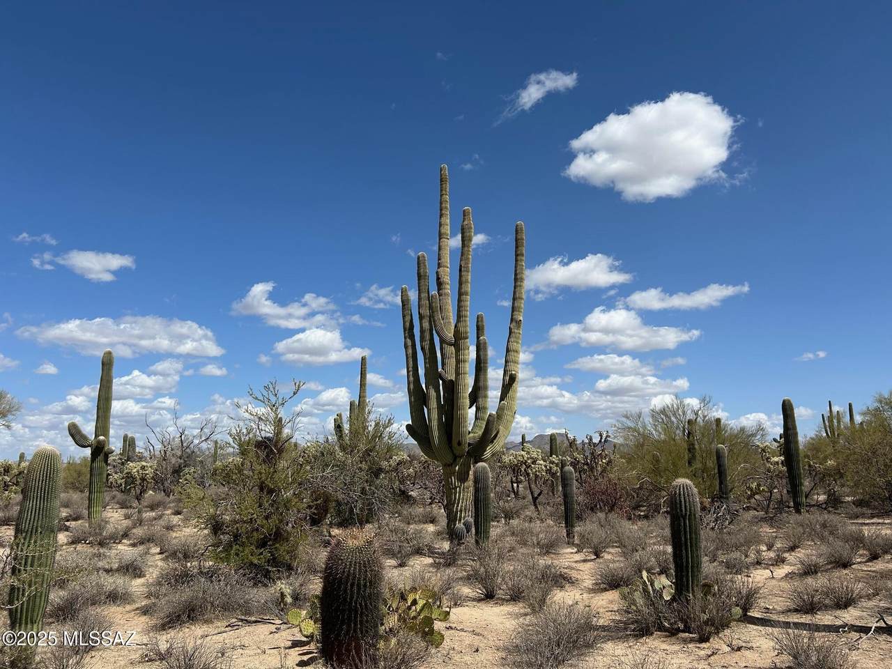 5020 Lambert Lane - Photo 1