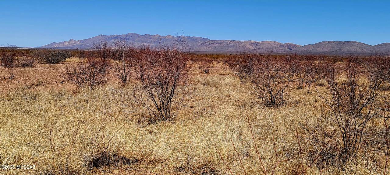 Lot 12/13A Whitaker Lane - Photo 1