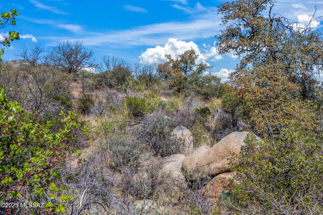 TBD Mt.  Lemmon Hwy - Photo 1