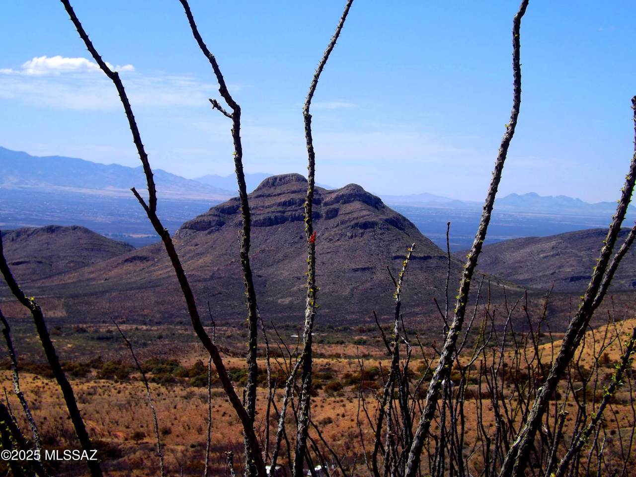 127 Lupine Road - Photo 1