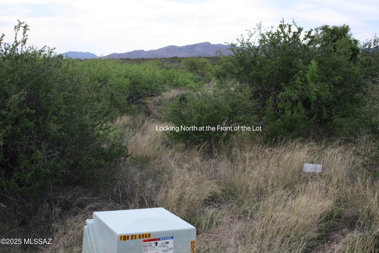 Lot 153 Bear Run - Photo 1