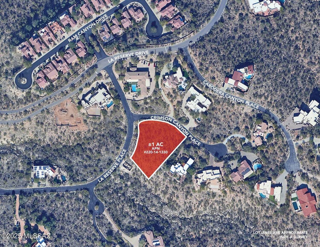 1580 Crimson Canyon Place - Photo 1