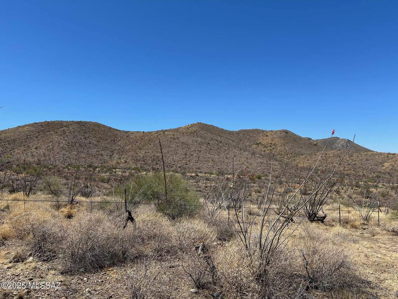 https://bt-photos.global.ssl.fastly.net/tucson/1280_boomver_1_22513730-2.jpg