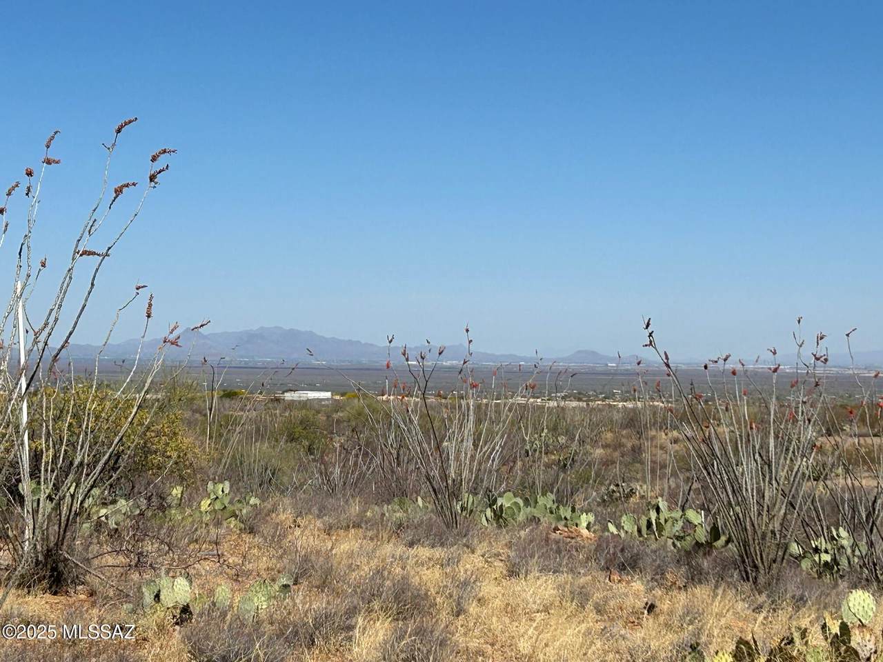 18534 Ava Ridge Place - Photo 1