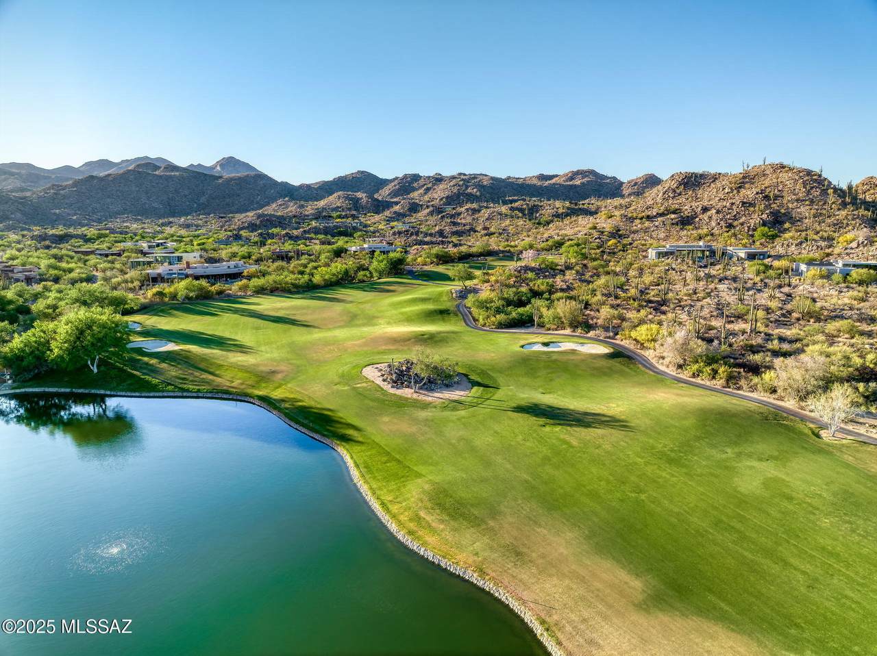 14471 Giant Saguaro Place - Photo 1