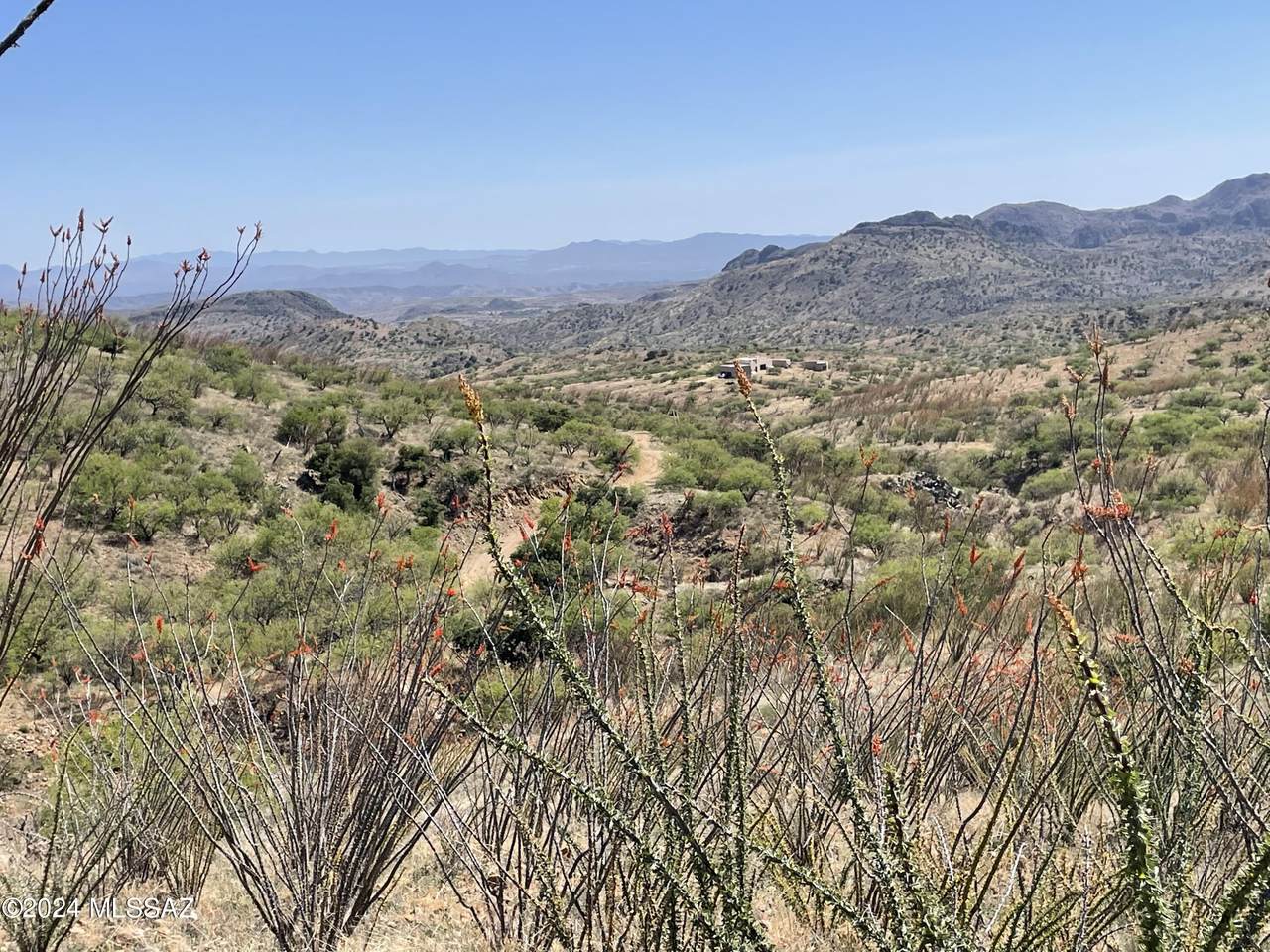 000 Ash Canyon Road - Photo 1