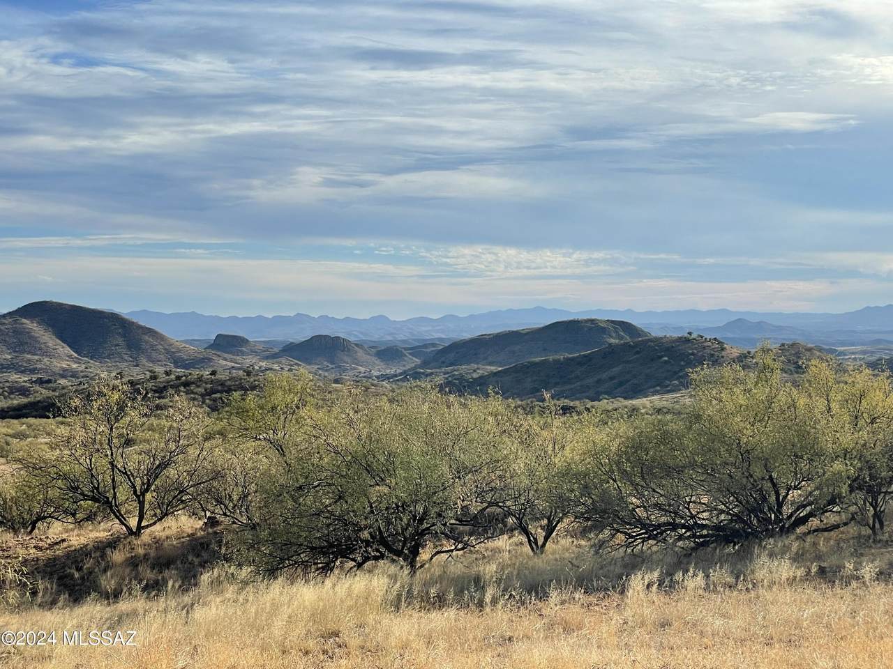 0 Ash Canyon Road - Photo 1