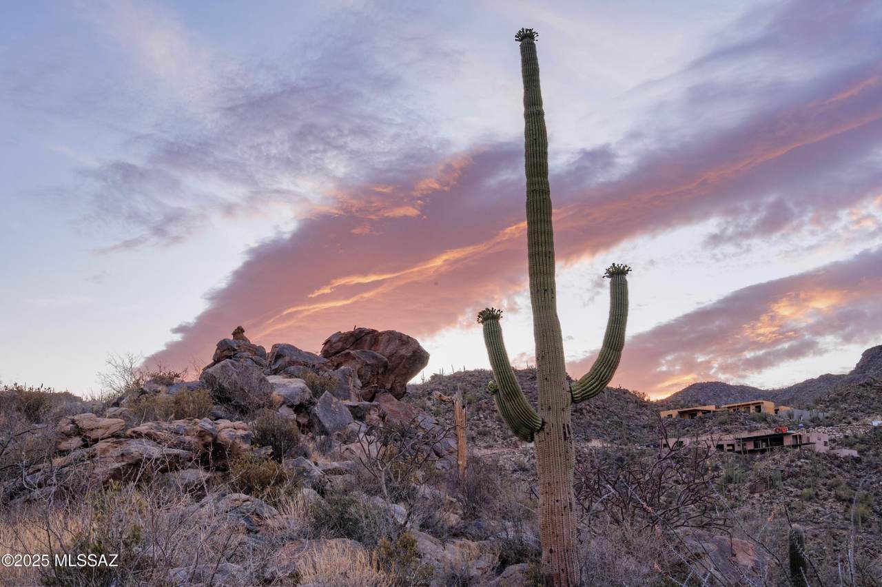 13935 Old Ranch House Road - Photo 1