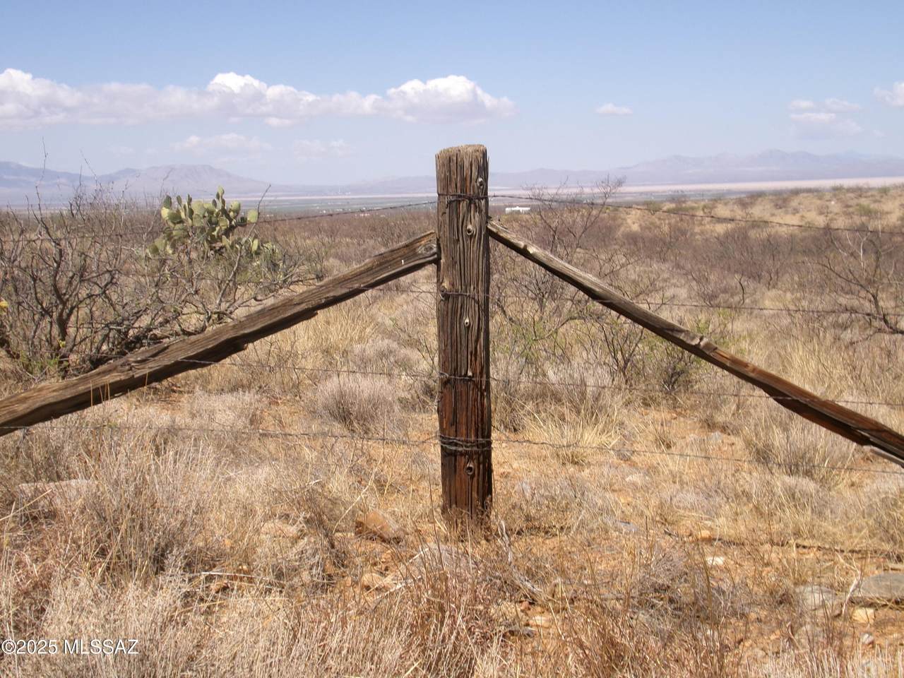 Jeffords Trail - Photo 1