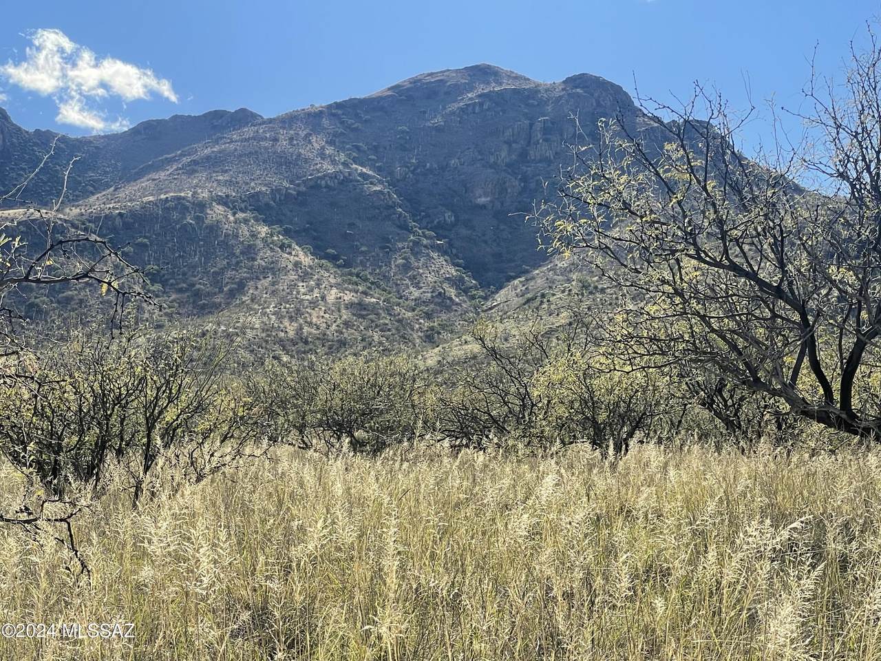https://bt-photos.global.ssl.fastly.net/tucson/1280_boomver_1_22515645-2.jpg