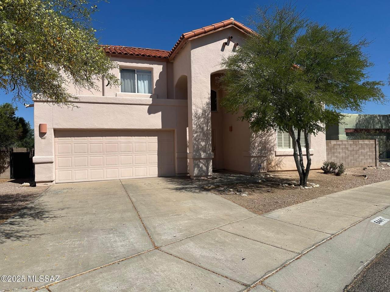 6441 Shadow Bluff Drive - Photo 1