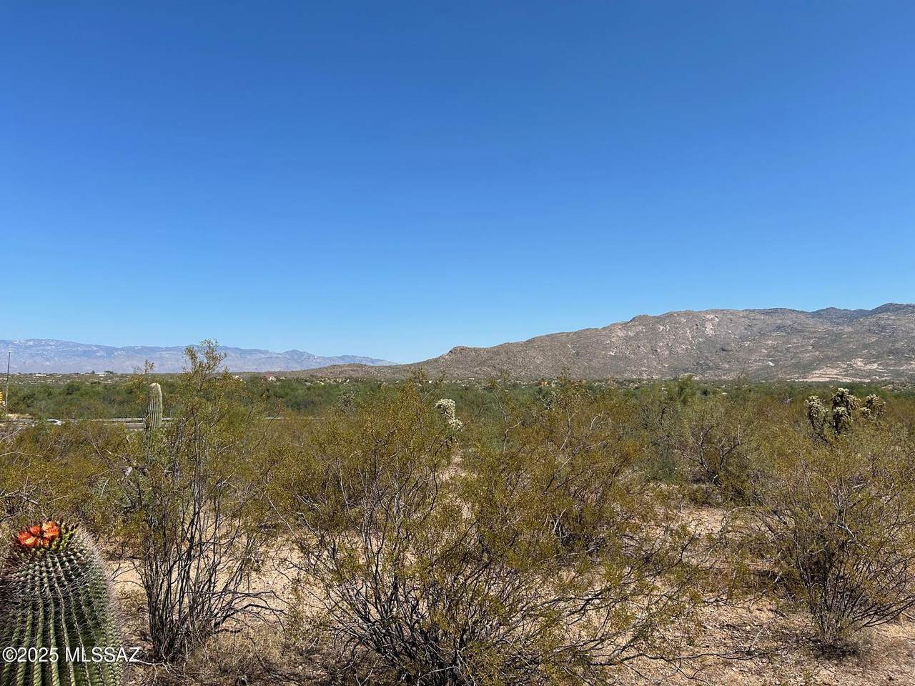  Old Spanish Trail - Photo 1