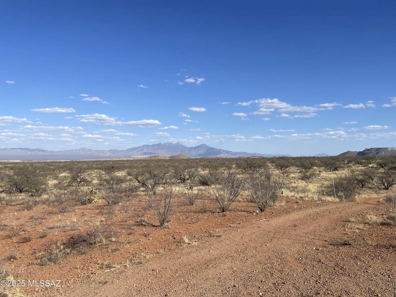  Wright Brothers Way - Photo 1