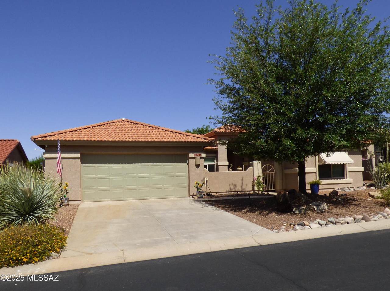 36716 Stoney Flower Drive - Photo 1
