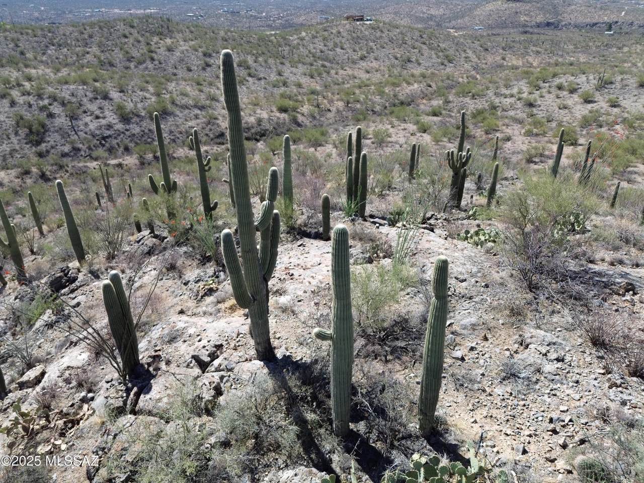  Rincon Creek Ranch Road - Photo 1