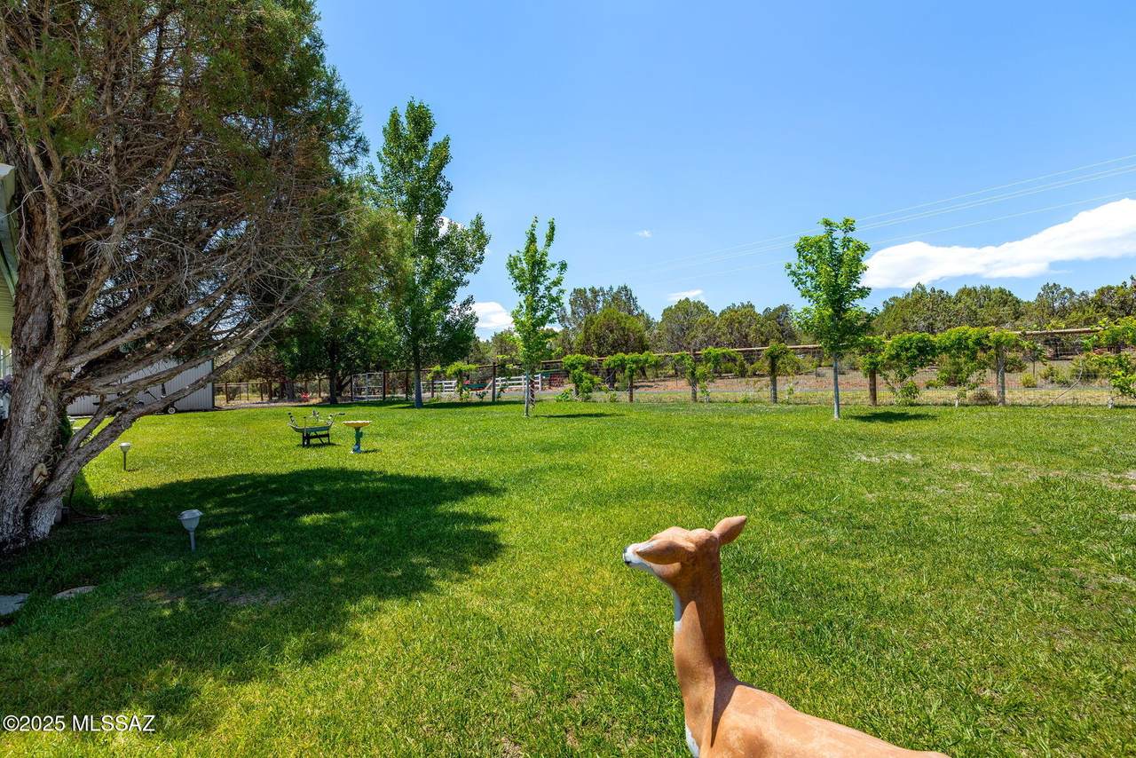 https://bt-photos.global.ssl.fastly.net/tucson/1280_boomver_1_22517416-2.jpg