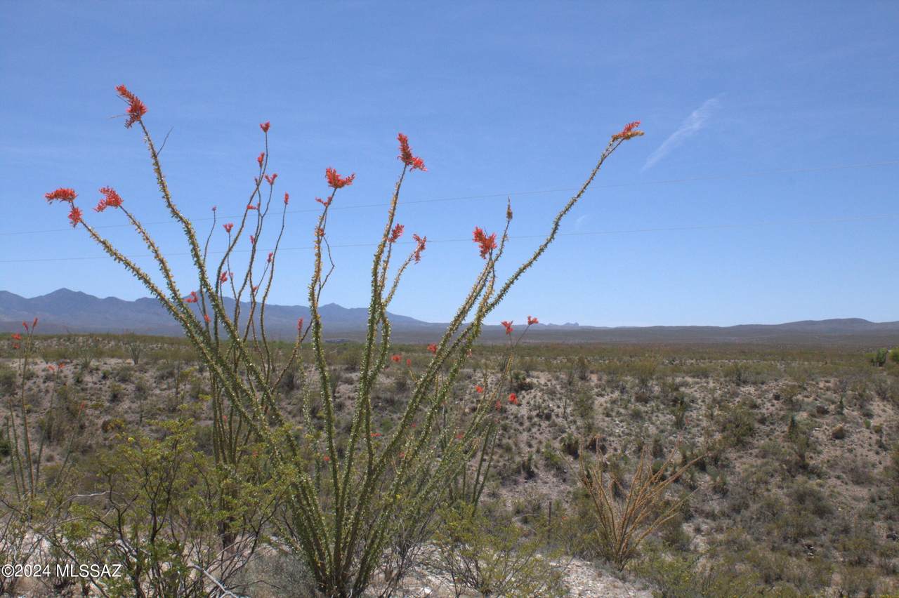 https://bt-photos.global.ssl.fastly.net/tucson/1280_boomver_1_22517774-2.jpg