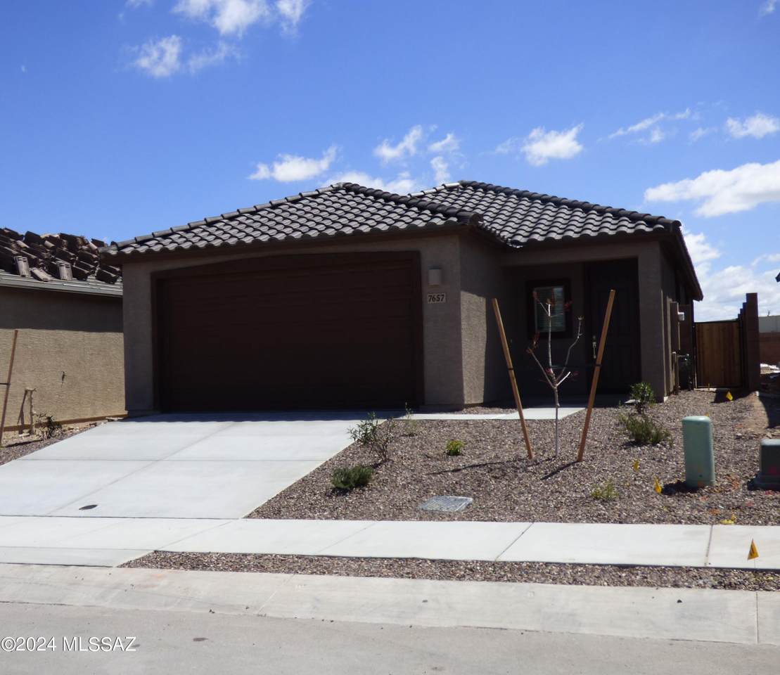 7657 Camino Alma Vieja - Photo 1