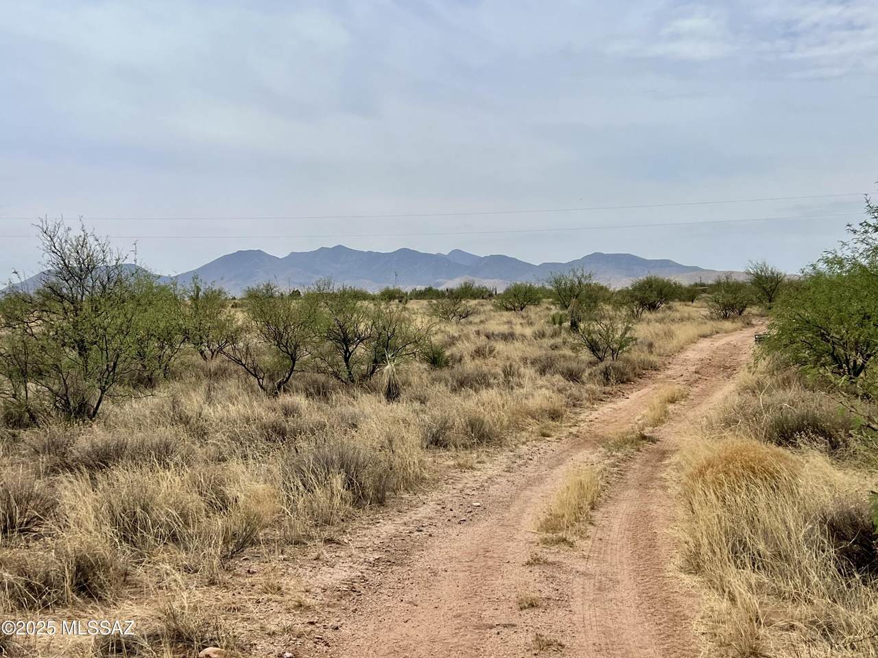 TBD Rolling Hills Lot - Photo 1