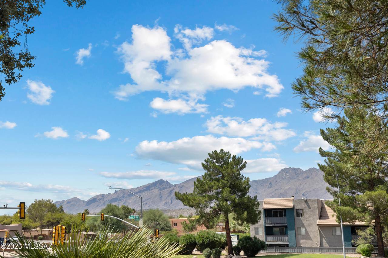 7620 Callisto Circle - Photo 1