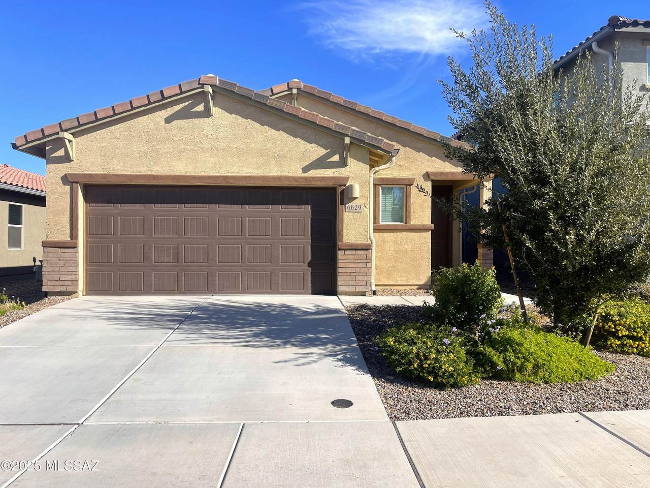 6629 Via Jardin Verde - Photo 1