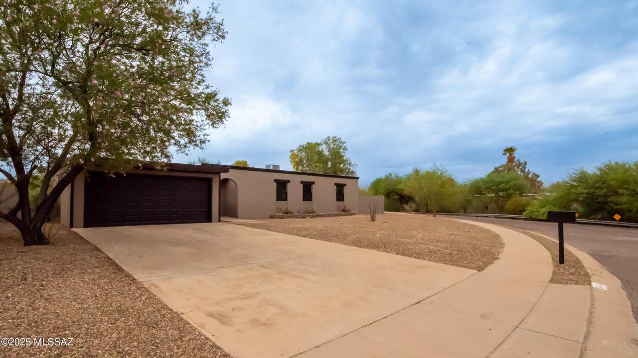 8418 Calle Bolivar - Photo 1