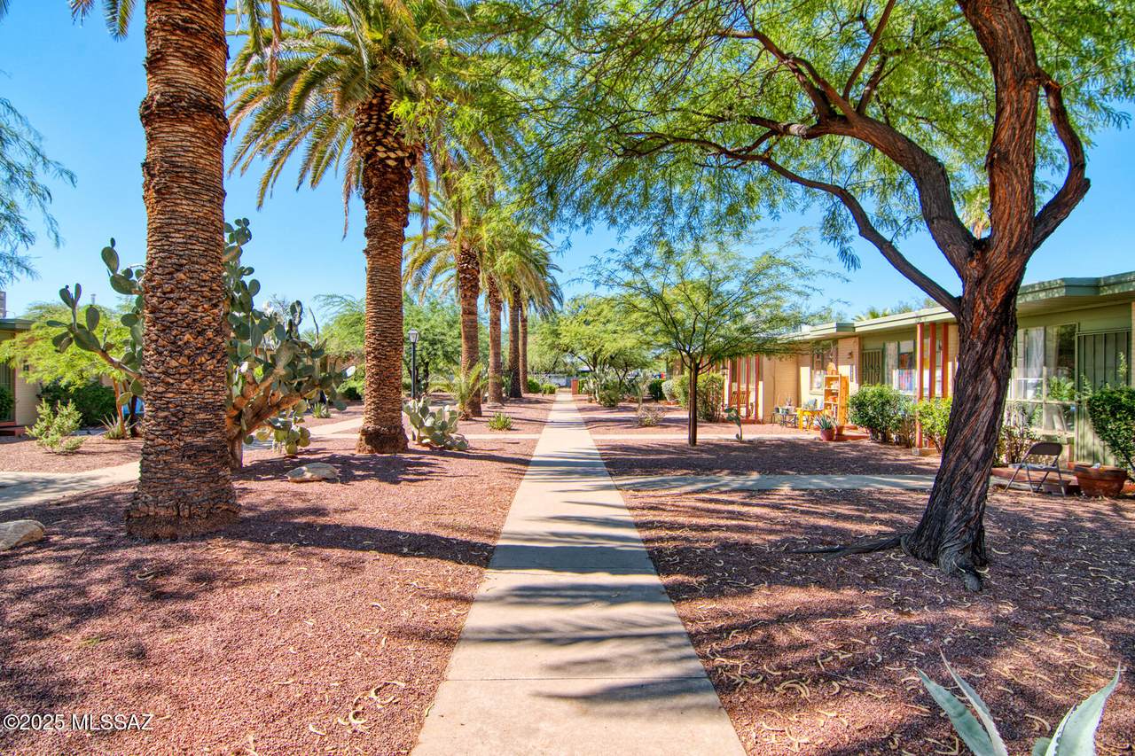 https://bt-photos.global.ssl.fastly.net/tucson/1280_boomver_1_22519720-2.jpg