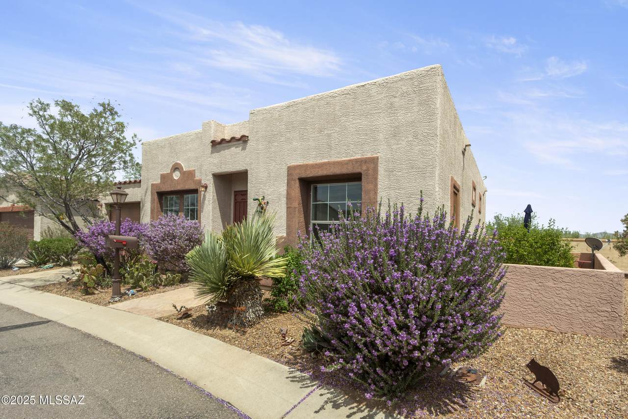 1121 Calle Querida - Photo 1