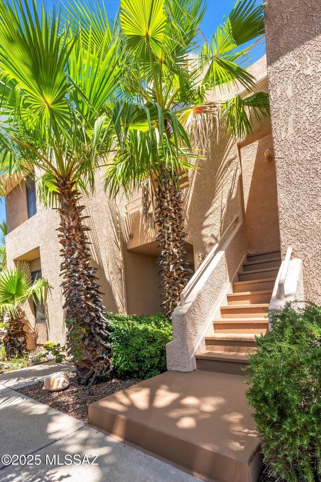 5675 Camino Esplendora - Photo 1