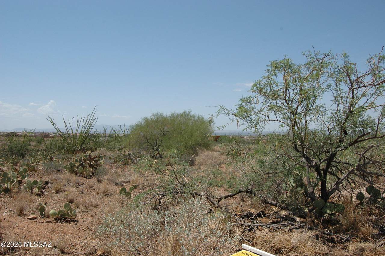 884 Judson Avenue - Photo 1