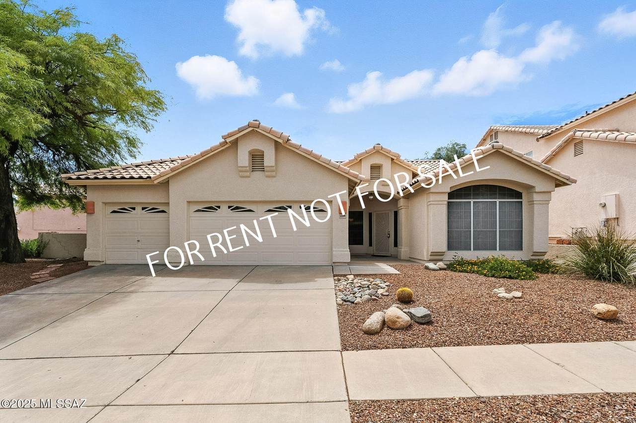 11399 Silver Pheasant Loop - Photo 1