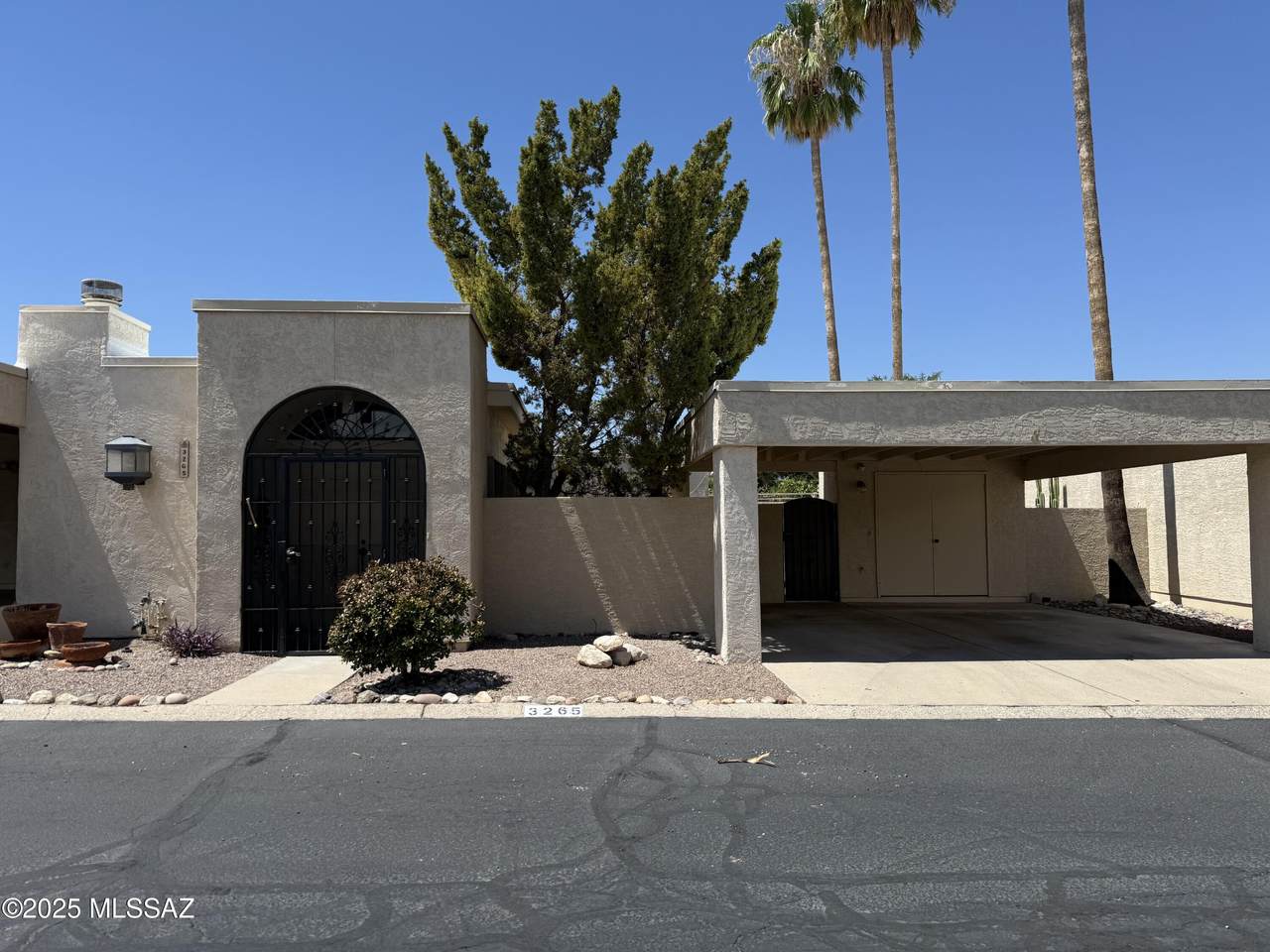 3265 Little Horse Drive - Photo 1