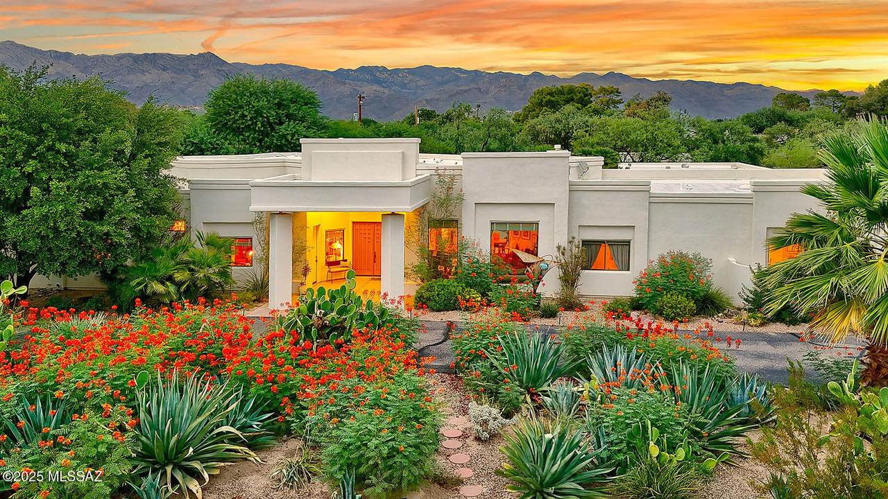 6465 Santa Aurelia - Photo 1