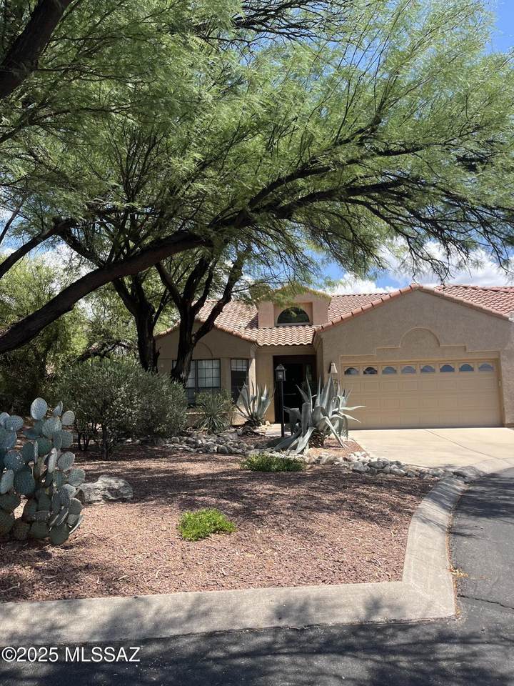 6076 Coatimundi Drive - Photo 1