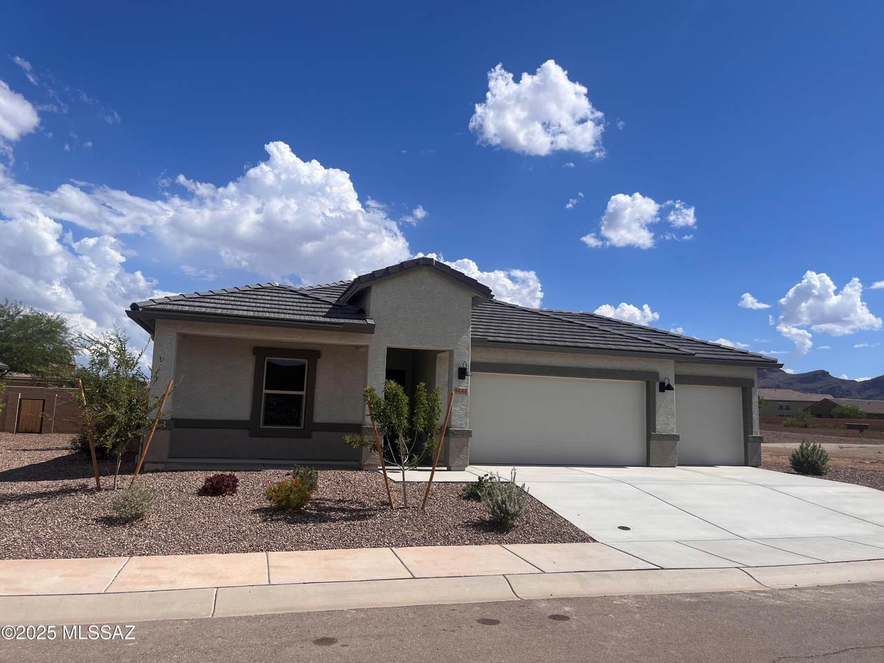 9888 Mojave Sage Avenue - Photo 1