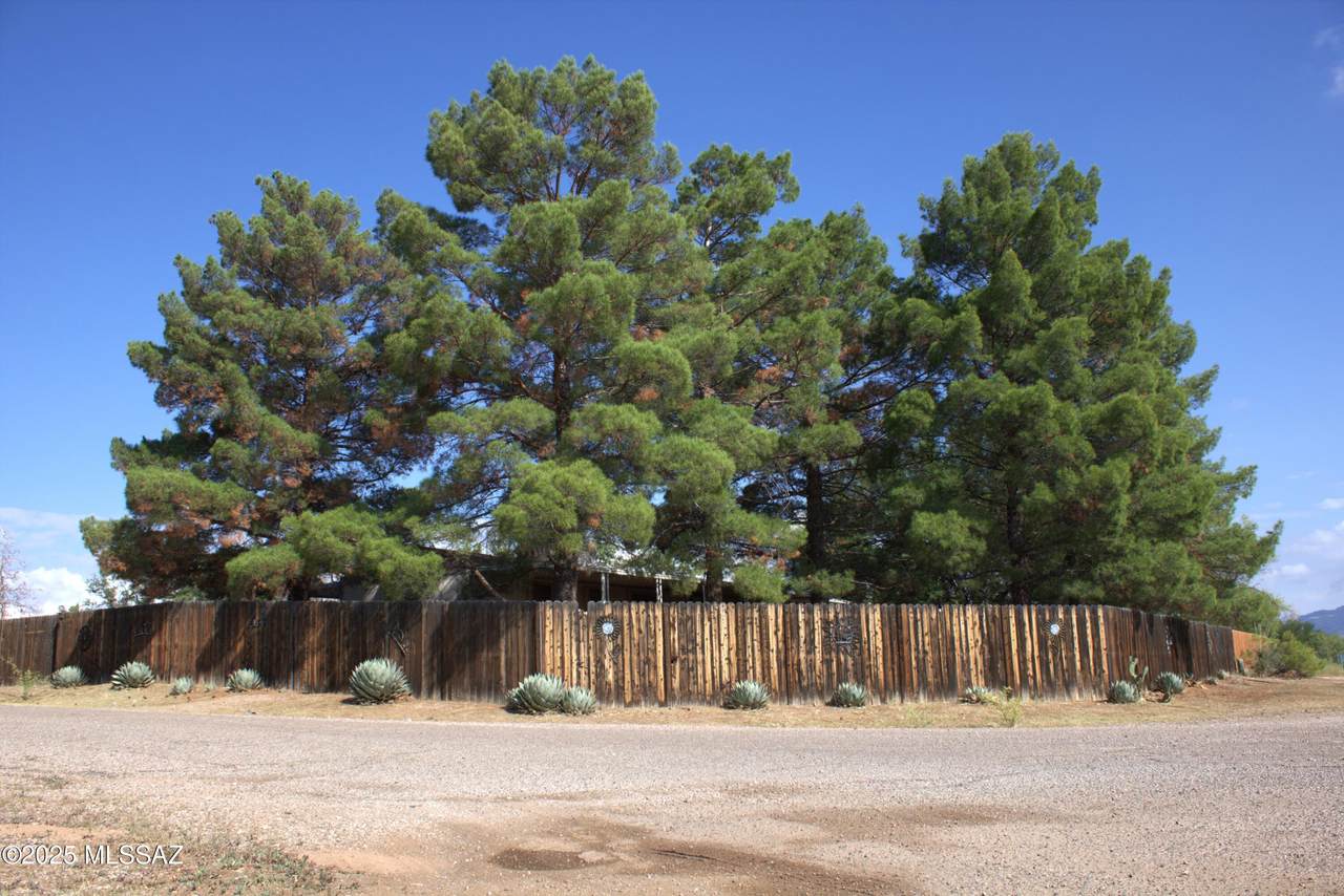 3156 Lark Drive - Photo 1