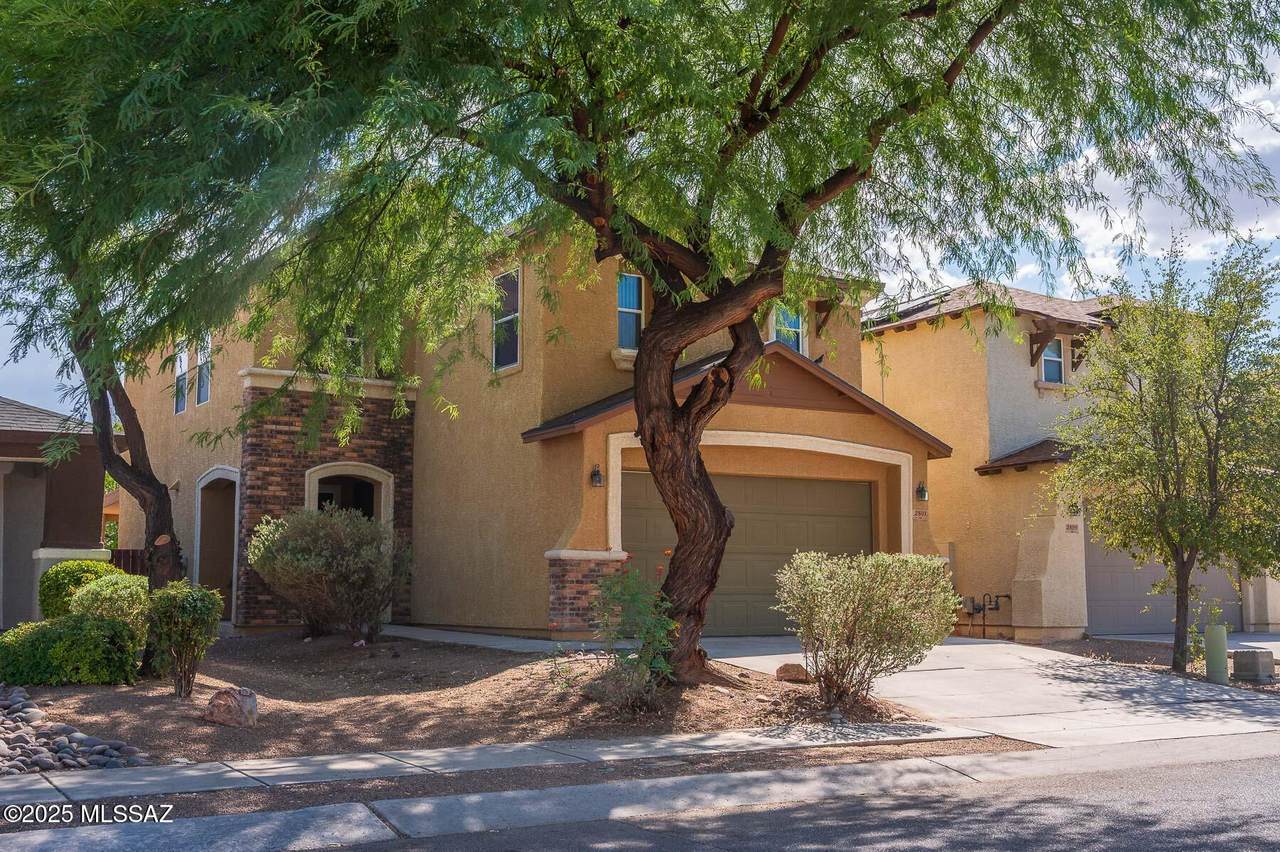 2801 Duskywing Drive - Photo 1