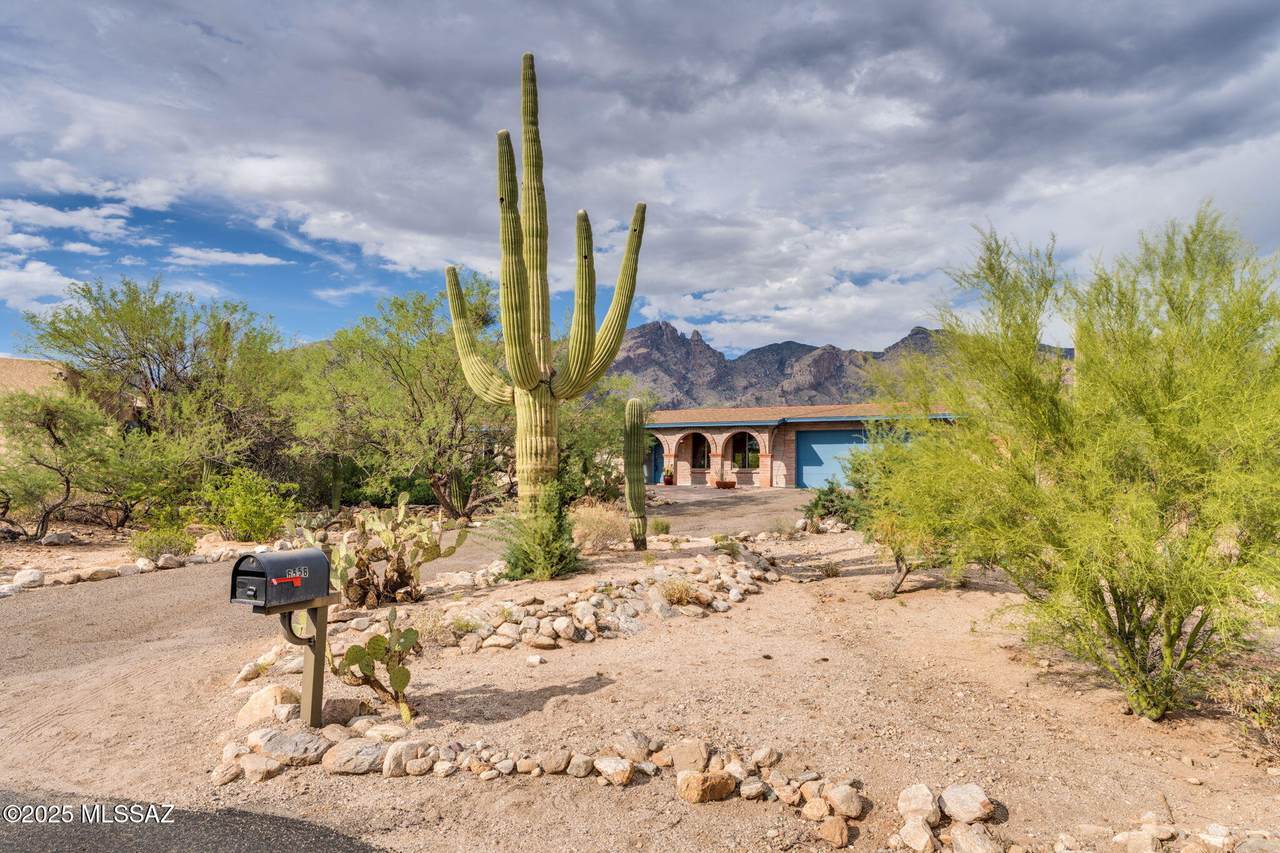 6556 Burro Creek Place - Photo 1