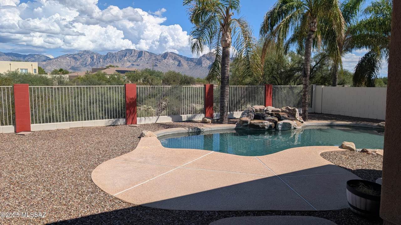 11244 Cactus Rose Drive - Photo 1