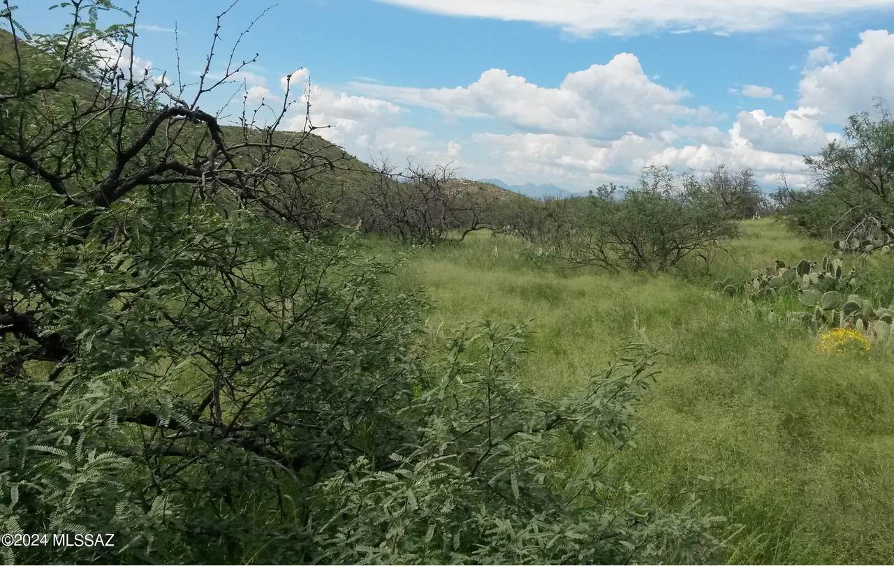  Goodenough Trail - Photo 1